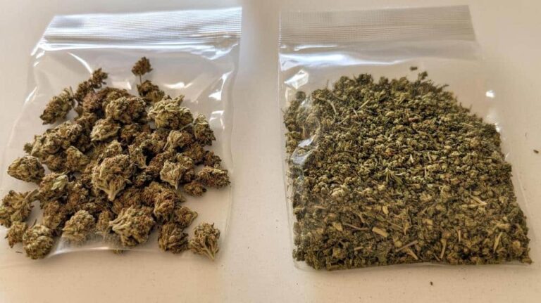 How to Spot Fake Weed (and What Happens If You Smoke It)
