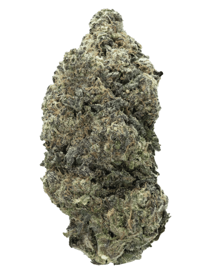 Hash Burger
