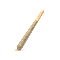 Pre-Roll Sex Panther