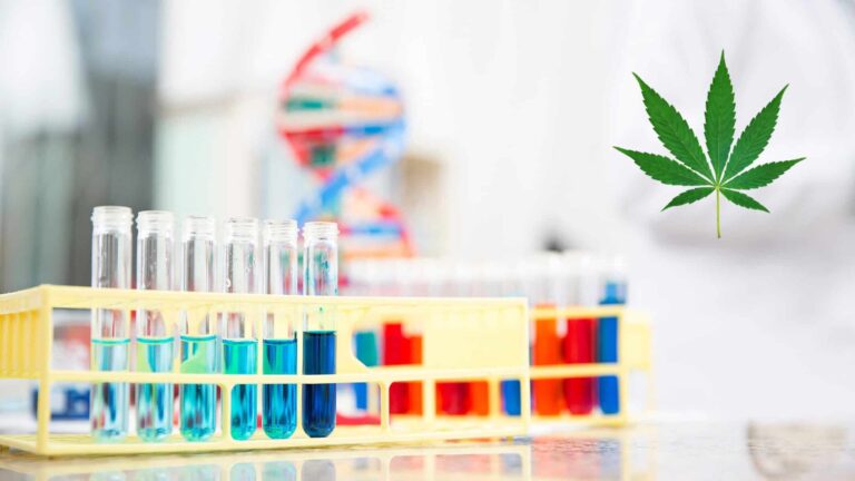 Third-Party Lab Testing and Cannabis – Why It’s Important