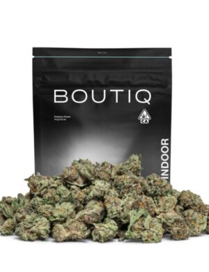 Blue Magic Indoor