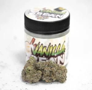 Vanilla Bean