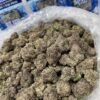 Buy Caliplug X Bluebucks Nerdz(1)