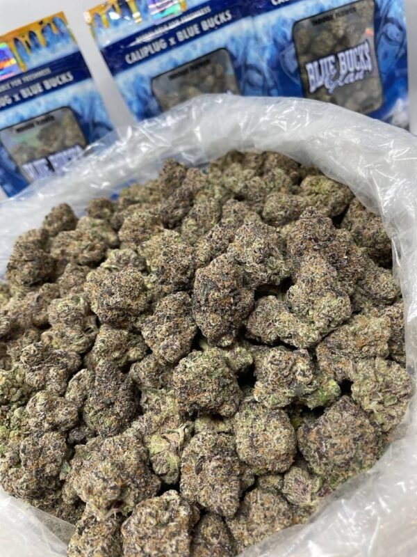Buy Caliplug X Bluebucks Nerdz(1)