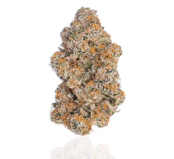 Durban Poison Strain