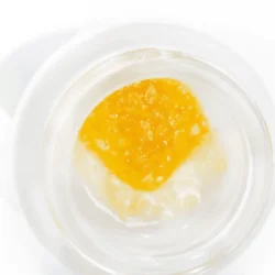 1g FSE