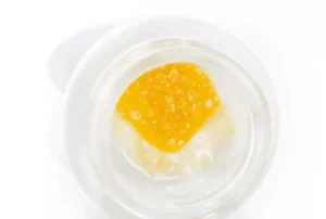 1g FSE