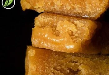 Purpalex BD Purpalex BD