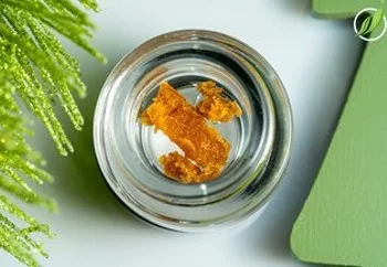 Tussaden CR Tussaden CR