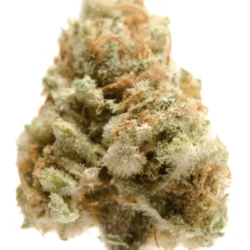 Banana Kush Strain