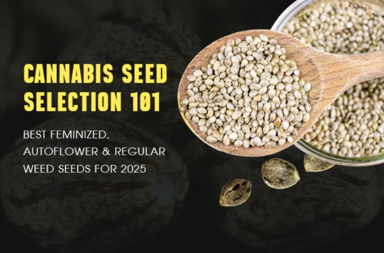 How to Germinate Autoflower Cannabis Seeds for Maximum Success