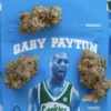 Gary Payton