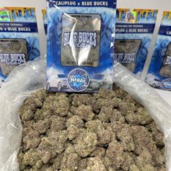 Buy Caliplug X Bluebucks Nerdz(1)