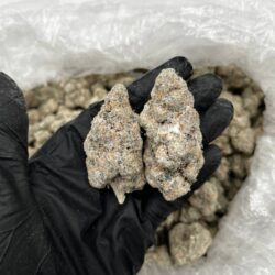 Oreos Snowball Strain