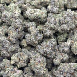 Alien Fritter Strain