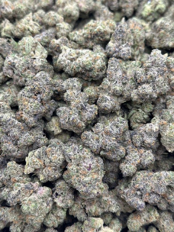 Alien Fritter Strain