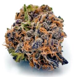 Alpha Runtz Strain