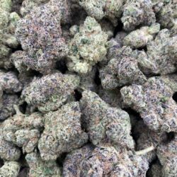 Bahama Zooties Strain