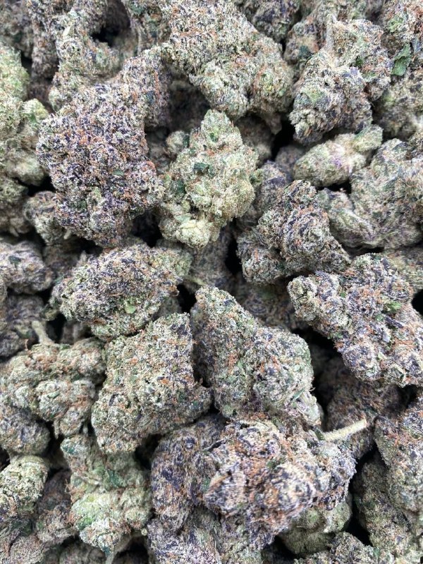 Bahama Zooties Strain