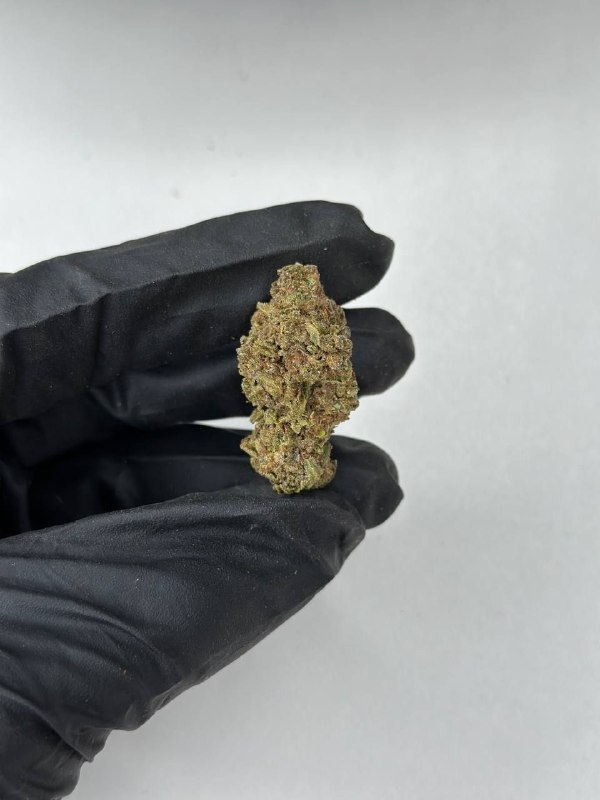 Berry White Strain