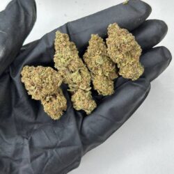 Berry White Strain