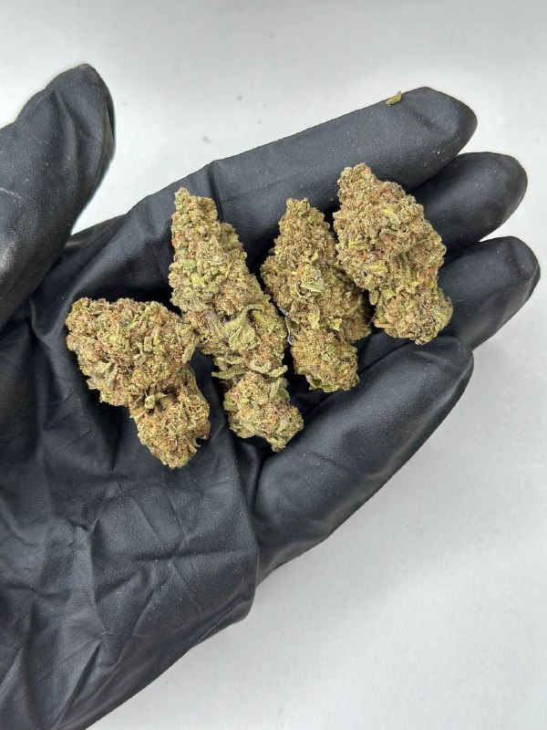 Berry White Strain
