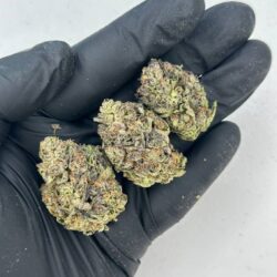 Black Runtz Strain
