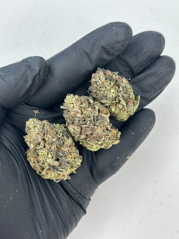 Black Runtz Strain