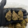 Blue Razz Strain