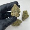 Blue Tint Strain