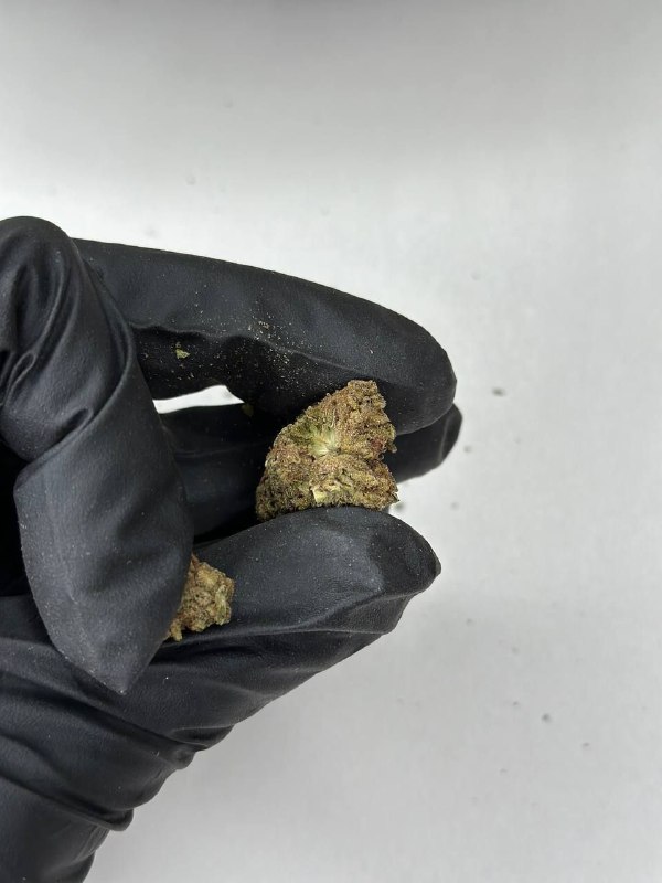 Black Runtz Strain