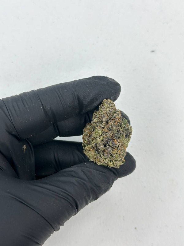 Black Runtz Strain
