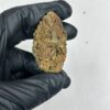 Blue Cookie Strain