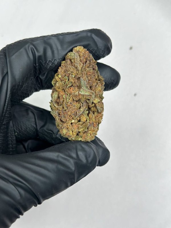 Blue Cookie Strain
