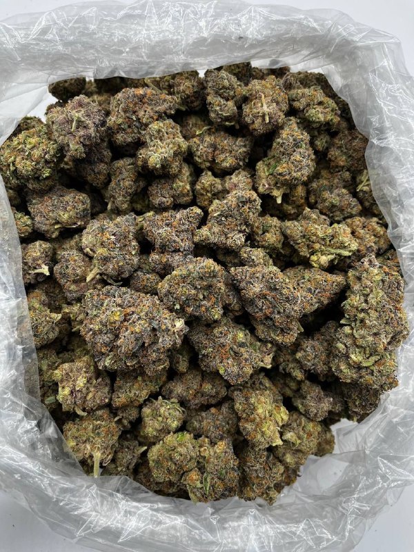Bubblegum Drop Strain